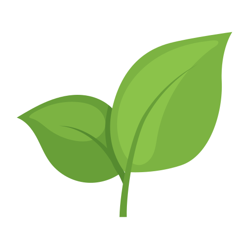Muguka / Miraa